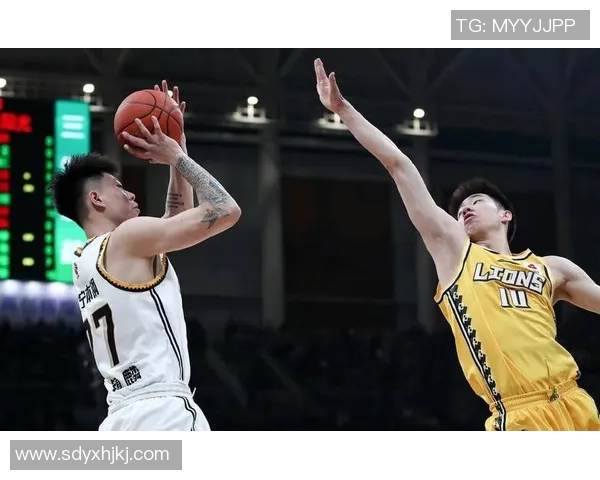 崔永熙：从青年才俊到行业领军者的成长之路与未来展望